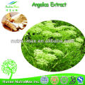 Angelica Sinensis Extract, Pure Angelica Sinensis Extract Powder Ligustilide 1% 4:1 10:1                        
                                                Quality Choice